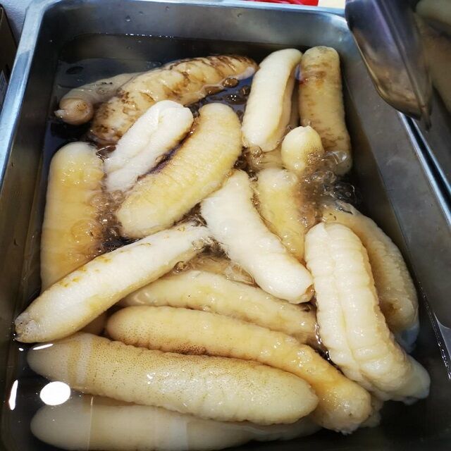  (Fresh Sea Cucumbers)