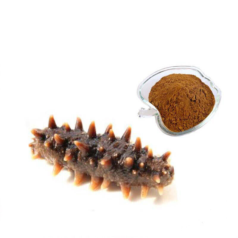  (Sea Cucumber Extracts)